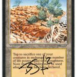 Diamond Valley (Arabian Nights, signed)