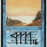 Land Equilibrium (Signed by Artist Jesper Myrfors)