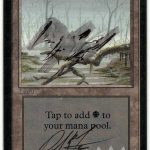 Swamp (Alpha Signed and Altered by artist Dan Frazier)